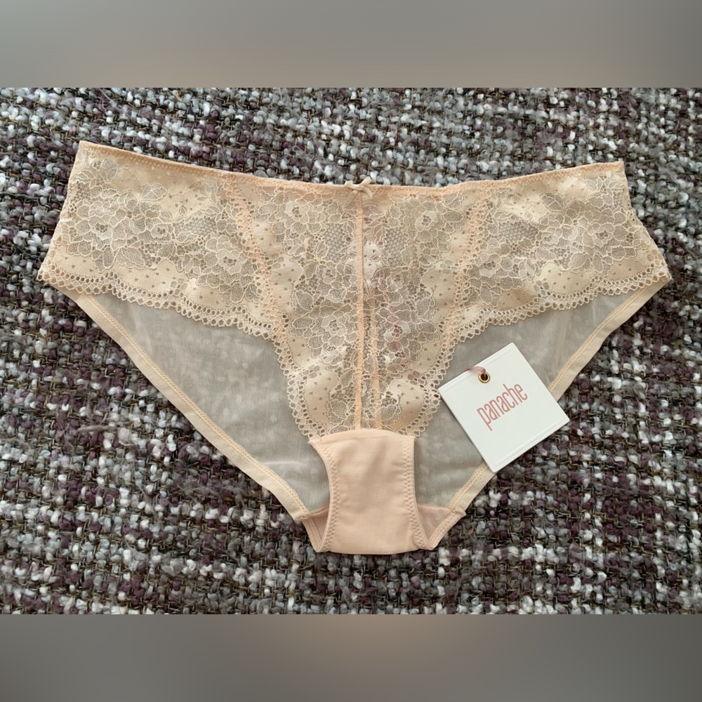 NWT Panache Clara Brief Nude